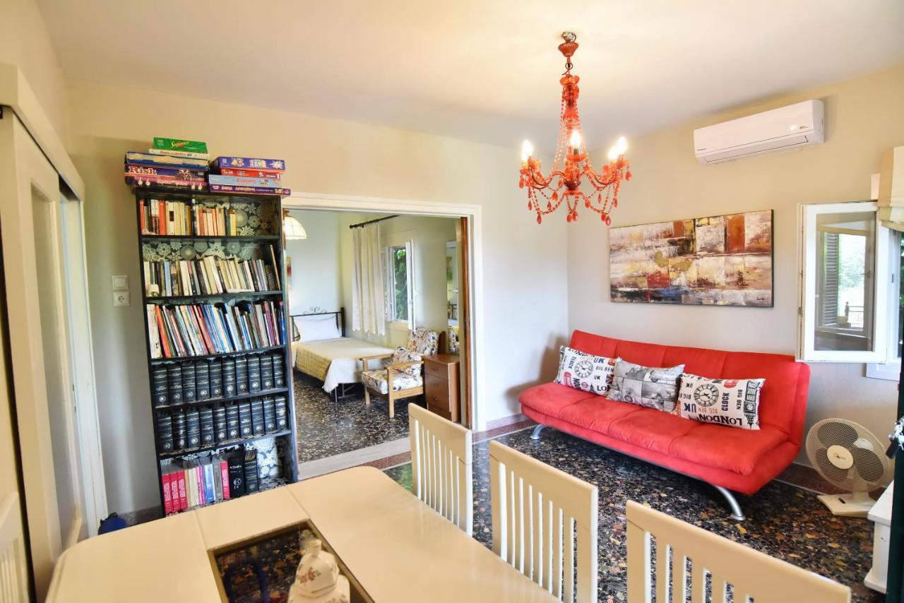 Xenophon House Villa PalaiónTsiflíkion Kültér fotó