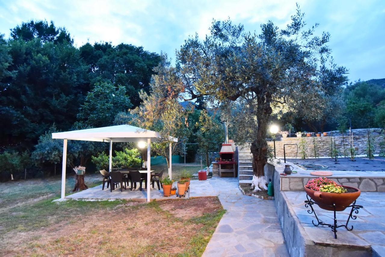 Xenophon House Villa PalaiónTsiflíkion Kültér fotó
